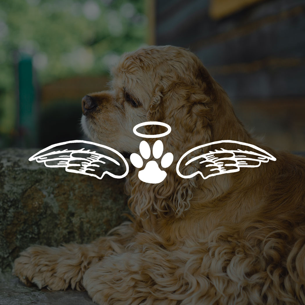 Companions Forever INC logo