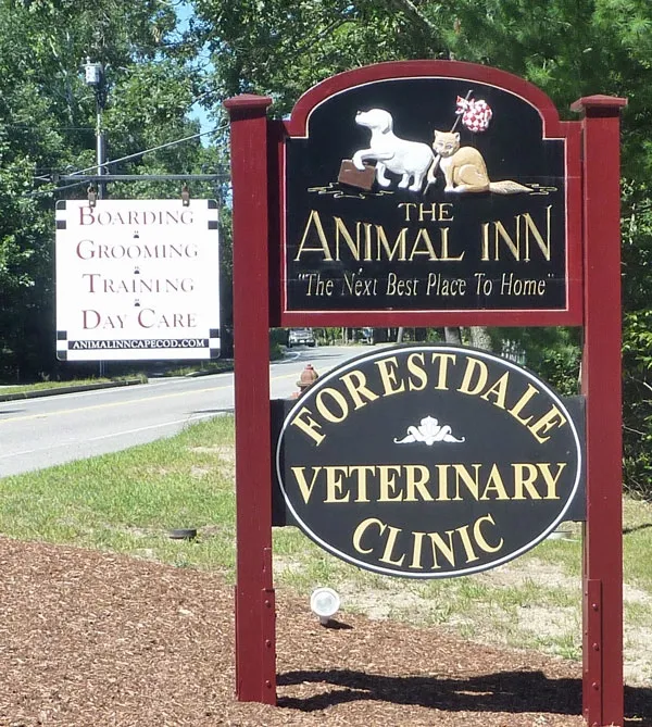 Animal Inn logo