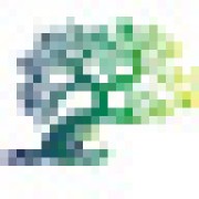 Rainbow Bridge Pet Services logo