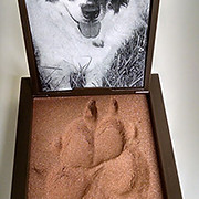 Pet Cremation Company logo
