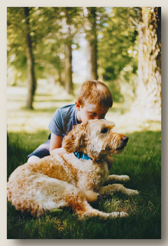 Sink Creek Farms Pet Cremation logo