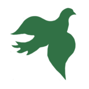 Noahs Pet Cemetery and Crematory logo