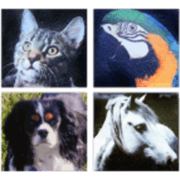 Animal Care Service INC logo
