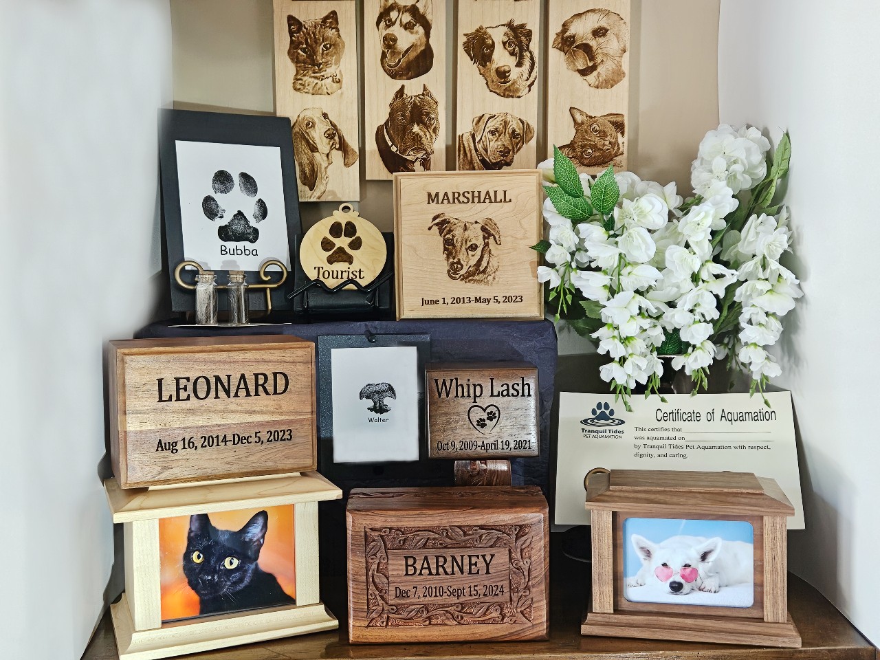 Tranquil Tides Pet Aquamation Springfield/nixa Pet Cremation logo