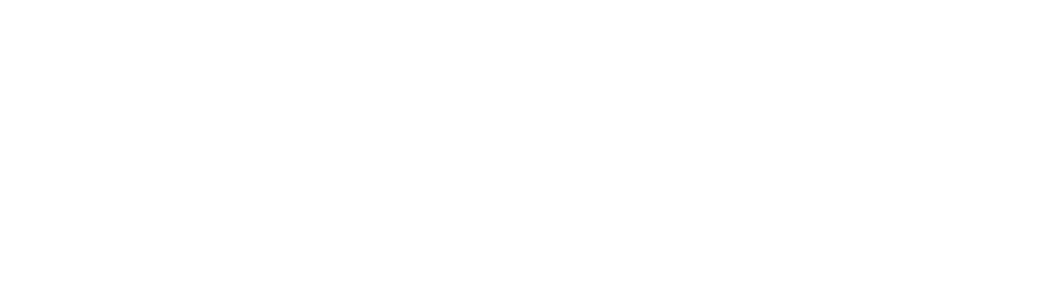 Regency Pet LLC logo