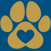Fur Ever in Our Hearts Pet Cremation logo