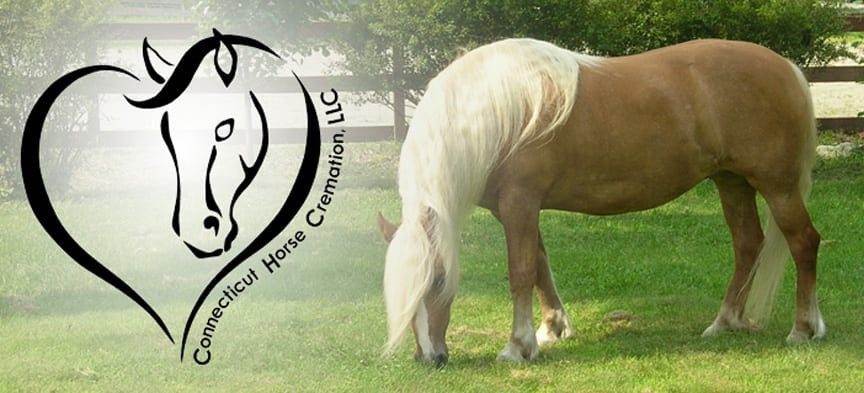 Connecticut Horse Cremation logo