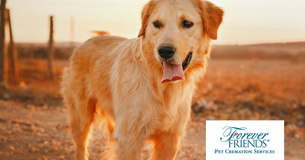Forever Friends Pet Funeral Home and Cremation logo