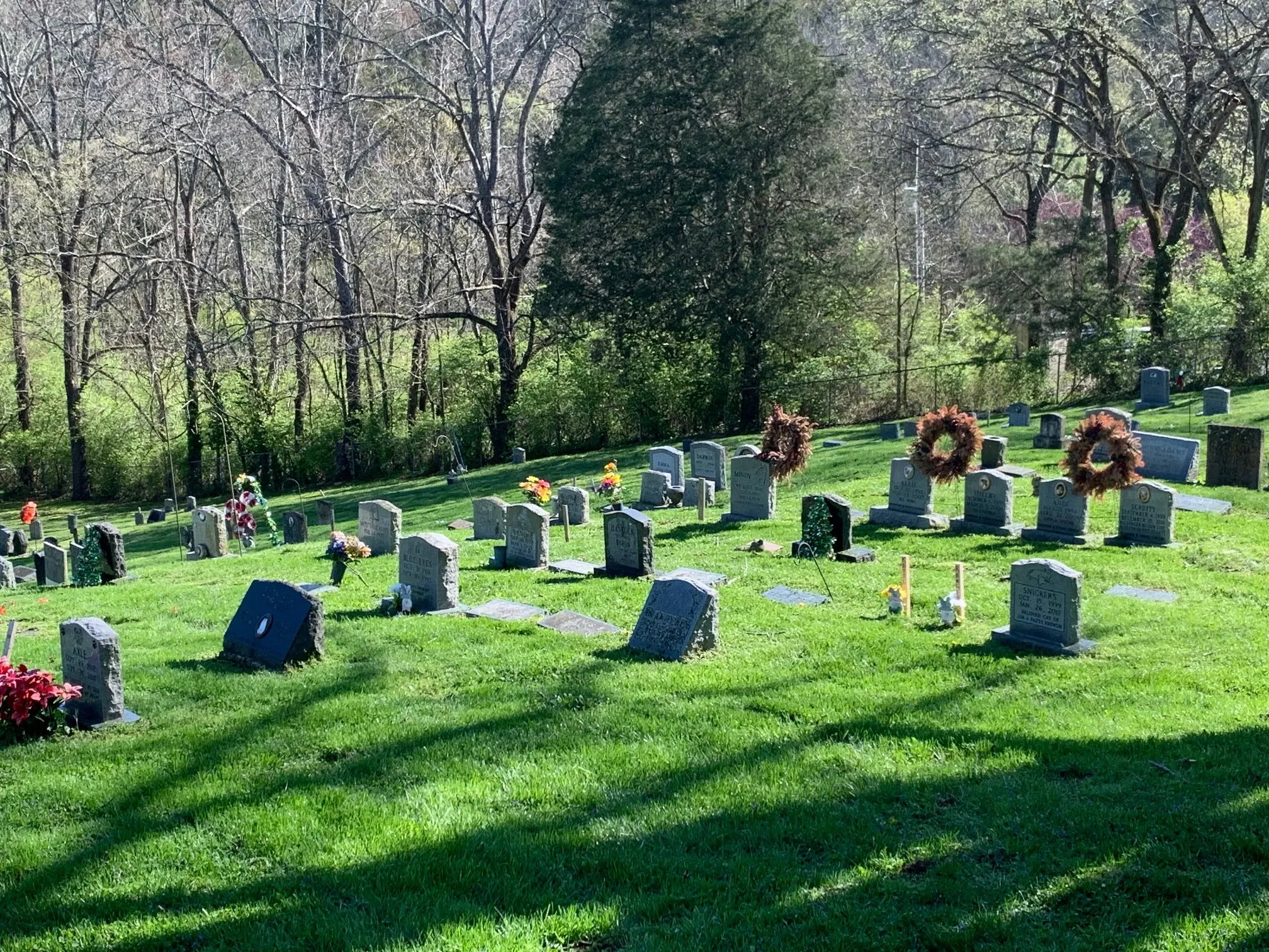 Sheabel Pet Cemetery logo
