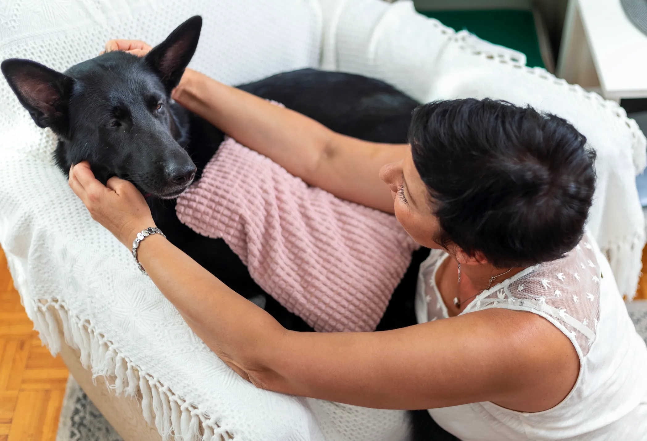 Restful Pets logo