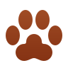 Rainbow Bridge Pet Cremations logo