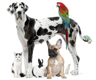 Cherished Pets by Watts logo