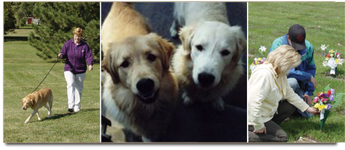 Aaa Pet Services logo