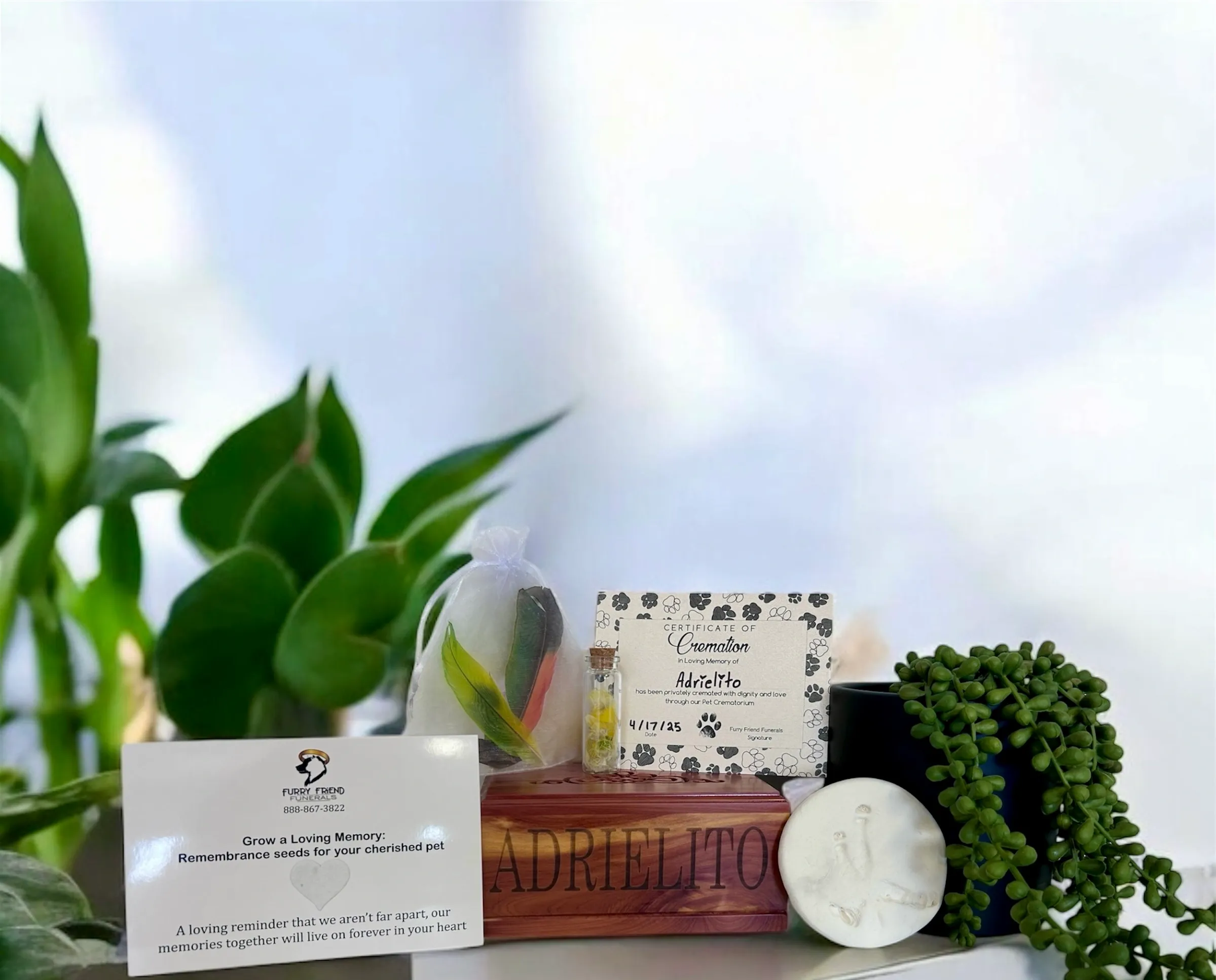 Furry Friend Funeral Services logo