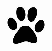 S and S Pet Cremation logo